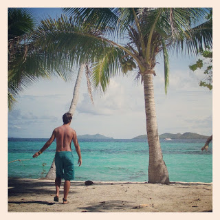 el nido